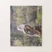 Puzzel: Schuur Uil 1 Legpuzzel (Verticaal)