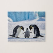 Puzzel van de pinguïnfamilie (Horizontaal)