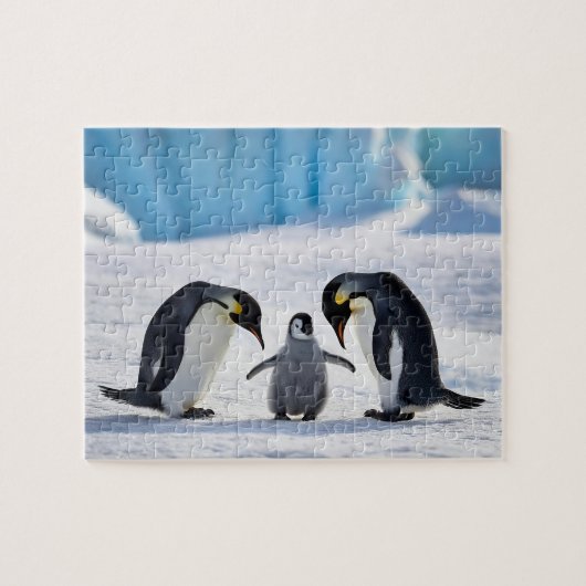 Puzzel van de pinguïnfamilie (Horizontaal)