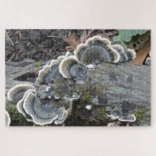 Puzzel van kalkoenstaartmycelium