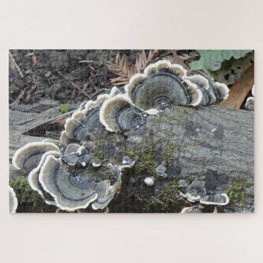Puzzel van kalkoenstaartmycelium (Horizontaal)