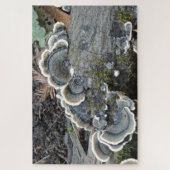 Puzzel van kalkoenstaartmycelium (Verticaal)