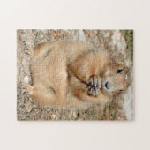 Puzzel van Prairiehond bij het snacken (Horizontaal)