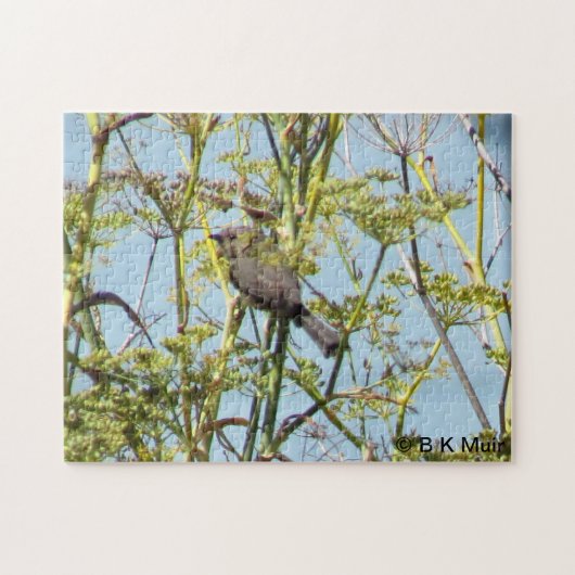 Puzzel - Vink zittend in takken (Horizontaal)