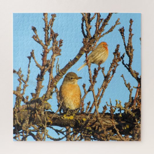 Puzzel - Vogels in takken (Verticaal)