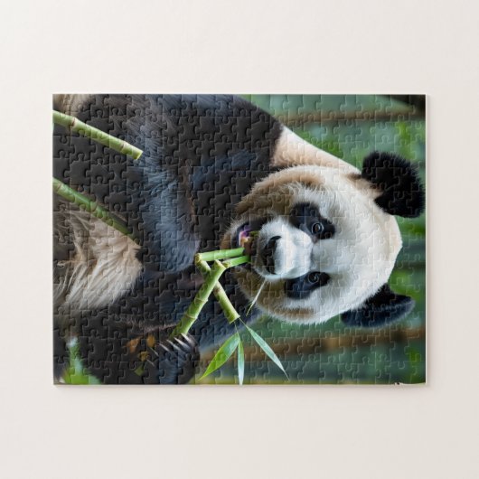 Puzzel voor kinderen legpuzzel (Horizontaal)