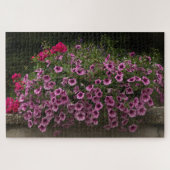 puzzel voor petunia en geraniumbloemen legpuzzel (Horizontaal)