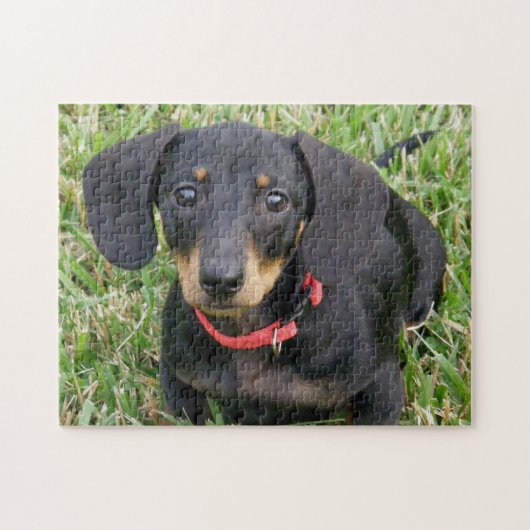 puzzel voor puzzels - Dachshund (Horizontaal)