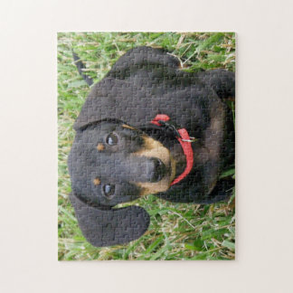 puzzel voor puzzels - Dachshund