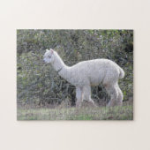 Puzzel - Witte Alpaca (Horizontaal)