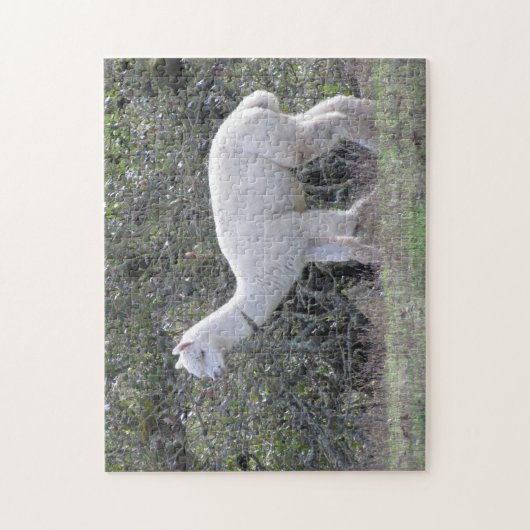 Puzzel - Witte Alpaca (Verticaal)
