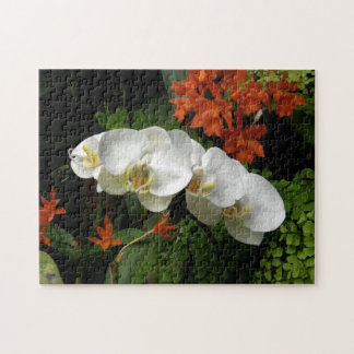 puzzel - witte orchideeën legpuzzel