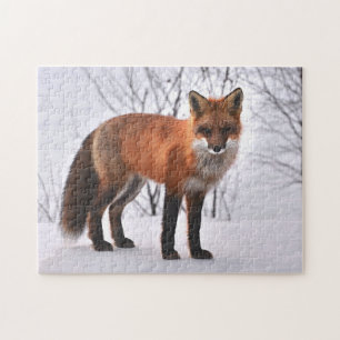 Puzzel Yellowstone Red Fox Legpuzzel