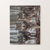 Puzzel Yellowstone Wolven (Verticaal)