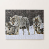Puzzel Yellowstone Wolven Legpuzzel (Horizontaal)