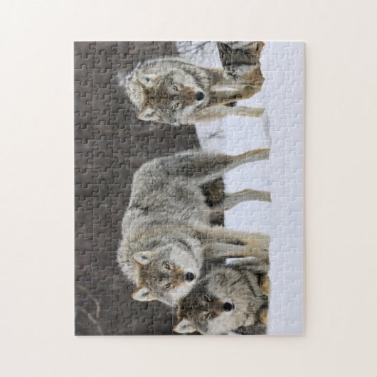 Puzzel Yellowstone Wolven Legpuzzel (Verticaal)