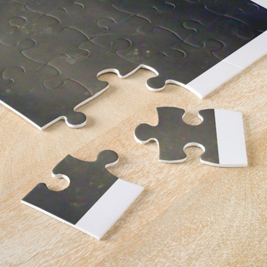 puzzel - zonneschijnaars (Zijkant)