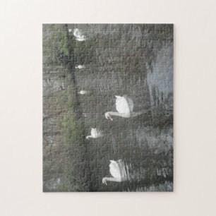 Puzzel zwanen zwemmen