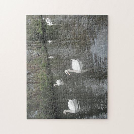 Puzzel zwanen zwemmen (Verticaal)