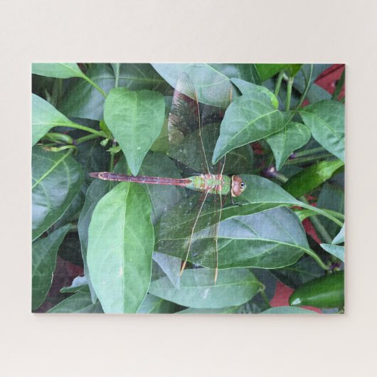 puzzellibel legpuzzel (Horizontaal)