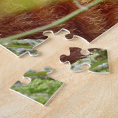 puzzels Foto: rode panda, dieren 0523. (Zijkant)