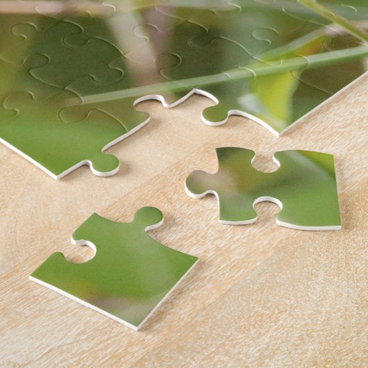 puzzels Foto: rode panda, dieren 0529. (Zijkant)