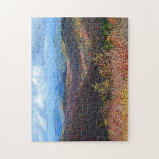 puzzels - Uitzicht in het najaar, blauwe parkeerpl (Verticaal)