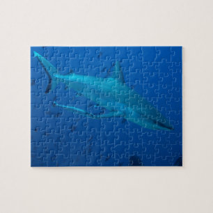 Puzzelstukken Haai Onderwater Foto Legpuzzel