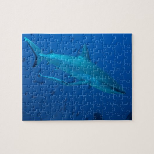 Puzzelstukken Haai Onderwater Foto Legpuzzel (Horizontaal)