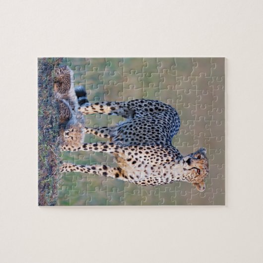 Puzzle 10x8 110 stuks - Cheetah en cubs Legpuzzel (Horizontaal)