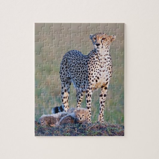 Puzzle 10x8 110 stuks - Cheetah en cubs Legpuzzel (Verticaal)