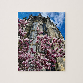 Puzzle Aachen Dom Magnolie Legpuzzel