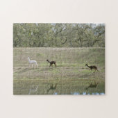 Puzzle - Alpaca Reflections Legpuzzel (Horizontaal)