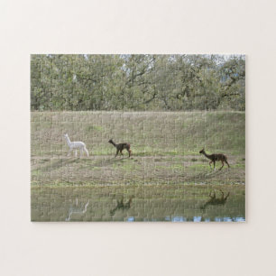 Puzzle - Alpaca Reflections Legpuzzel