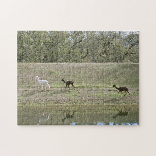 Puzzle - Alpaca Reflections Legpuzzel (Horizontaal)