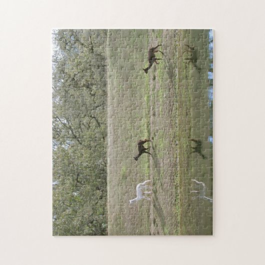 Puzzle - Alpaca Reflections Legpuzzel (Verticaal)