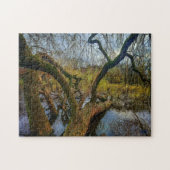 Puzzle “Árboles del agua – Parque en Ámsterdam” Legpuzzel (Horizontaal)