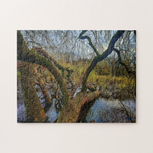 Puzzle “Árboles del agua – Parque en Ámsterdam” Legpuzzel (Horizontaal)