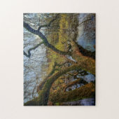 Puzzle “Árboles del agua – Parque en Ámsterdam” Legpuzzel (Verticaal)