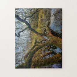 Puzzle “Árboles del agua – Parque en Ámsterdam” Legpuzzel