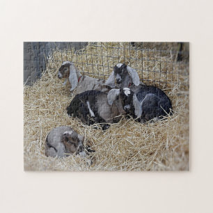 Puzzle Baby Goats Legpuzzel