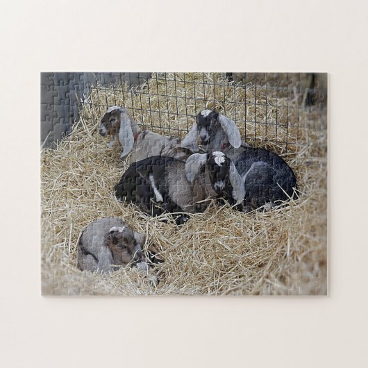 Puzzle Baby Goats Legpuzzel (Horizontaal)