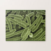 Puzzle bacteriën e.coli microscopio legpuzzel (Horizontaal)
