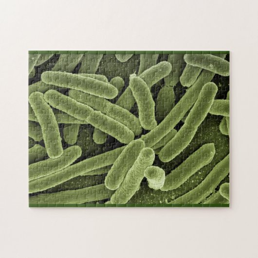 Puzzle bacteriën e.coli microscopio legpuzzel (Horizontaal)