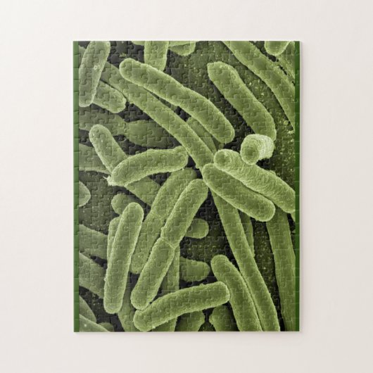 Puzzle bacteriën e.coli microscopio legpuzzel (Verticaal)