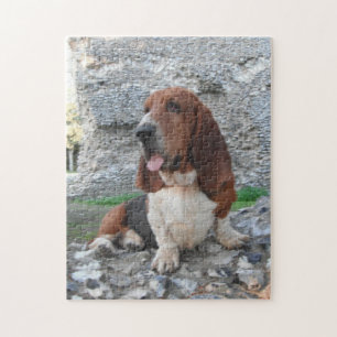 Puzzle Basset Hound Visiting Castle Legpuzzel