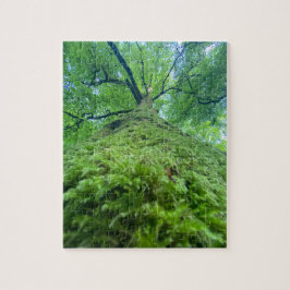 Puzzle Baum Moos  Legpuzzel