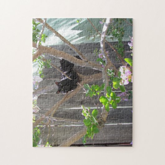 Puzzle - Black Cat in Tree Legpuzzel (Verticaal)