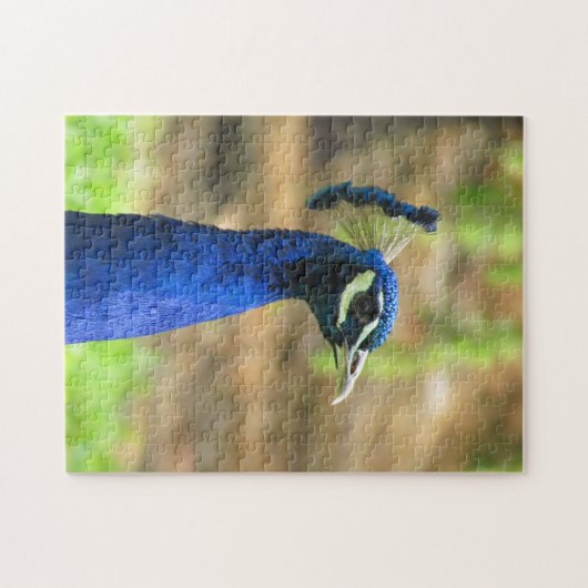 Puzzle - Blue Peacock Head Legpuzzel (Horizontaal)