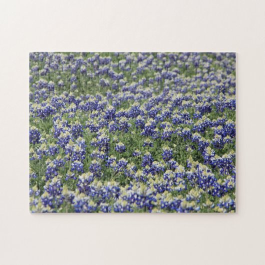 Puzzle Bluebonnet field Legpuzzel (Horizontaal)